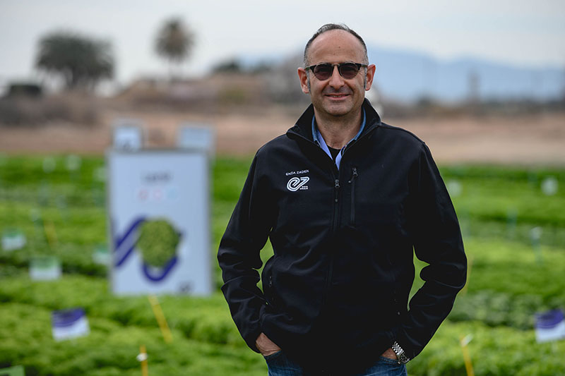 Dionisio L'Abbate, Product Developer Lettuce Italy di Enza Zaden